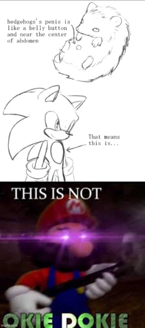 Sonic doesn’t have the same anatomy as a normal hedgehog... | image tagged in this is not okie dokie | made w/ Imgflip meme maker