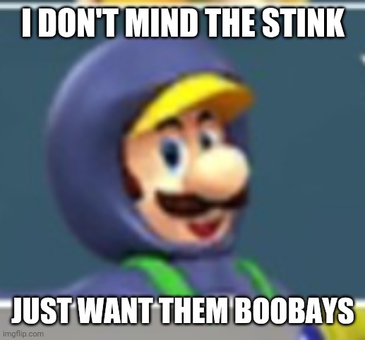 I DON'T MIND THE STINK JUST WANT THEM BOOBAYS | made w/ Imgflip meme maker