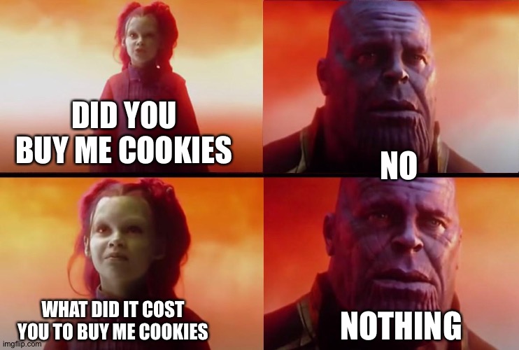This is stoopid | DID YOU BUY ME COOKIES; NO; WHAT DID IT COST YOU TO BUY ME COOKIES; NOTHING | image tagged in thanos what did it cost | made w/ Imgflip meme maker