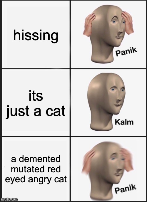 Panik Kalm Panik | hissing; its just a cat; a demented mutated red eyed angry cat | image tagged in memes,panik kalm panik | made w/ Imgflip meme maker