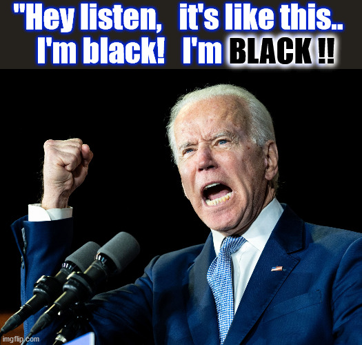 Joe Biden -- Angry VICTIM of White Privilege | "Hey listen,   it's like this.. 
I'm black!   I'm BLACK ! BLACK !! | image tagged in joe biden's fist,victim,white privilege,black | made w/ Imgflip meme maker