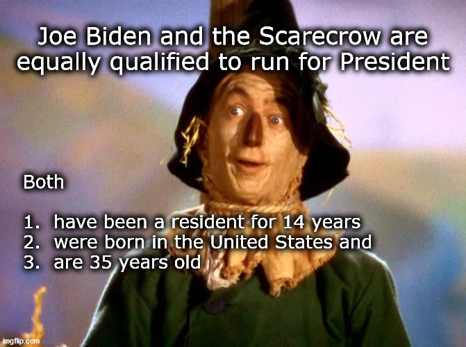 looking for a brain | Joe Biden and the Scarecrow are 
equally qualified to run for President; Both 
 
1.  have been a resident for 14 years
2.  were born in the United States and 
3.  are 35 years old | image tagged in scarecrow | made w/ Imgflip meme maker