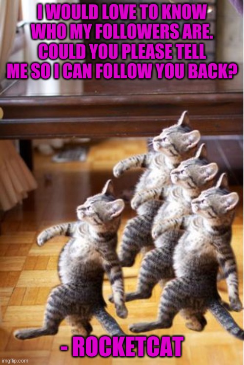 Thanks guys! | I WOULD LOVE TO KNOW WHO MY FOLLOWERS ARE. COULD YOU PLEASE TELL ME SO I CAN FOLLOW YOU BACK? - ROCKETCAT | image tagged in 4 cat follow go back | made w/ Imgflip meme maker