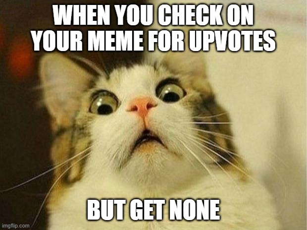 Scared Cat | WHEN YOU CHECK ON YOUR MEME FOR UPVOTES; BUT GET NONE | image tagged in memes,scared cat | made w/ Imgflip meme maker