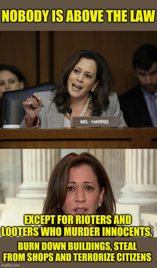 Democrats aren't saying nobody is above the law now | NOBODY IS ABOVE THE LAW; EXCEPT FOR RIOTERS AND LOOTERS WHO MURDER INNOCENTS, BURN DOWN BUILDINGS, STEAL FROM SHOPS AND TERRORIZE CITIZENS | image tagged in kamala harris,democrats,maga | made w/ Imgflip meme maker