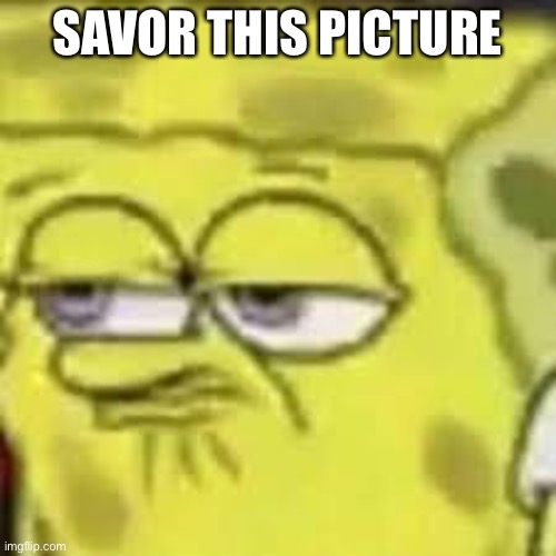 Savor this picture | SAVOR THIS PICTURE | image tagged in black lives matter,spongebob | made w/ Imgflip meme maker