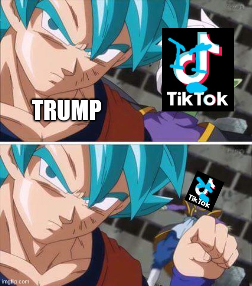 this gotta change | TRUMP | image tagged in goku hits zamasu,tik tok,trump,memes | made w/ Imgflip meme maker