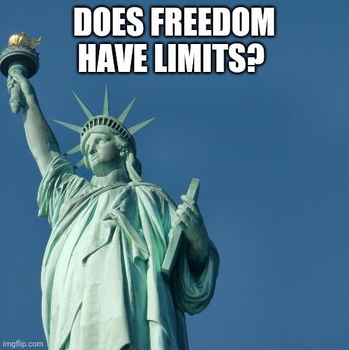 "It's a free country" you hear all the time yet can freedom be abused? | DOES FREEDOM HAVE LIMITS? | image tagged in statue of liberty | made w/ Imgflip meme maker