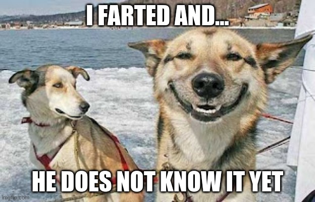 HAHAHAHA | I FARTED AND... HE DOES NOT KNOW IT YET | image tagged in memes,original stoner dog | made w/ Imgflip meme maker