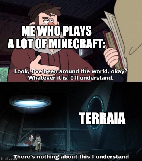 There is nothing about this I understand | ME WHO PLAYS A LOT OF MINECRAFT:; TERRAIA | image tagged in there is nothing about this i understand | made w/ Imgflip meme maker