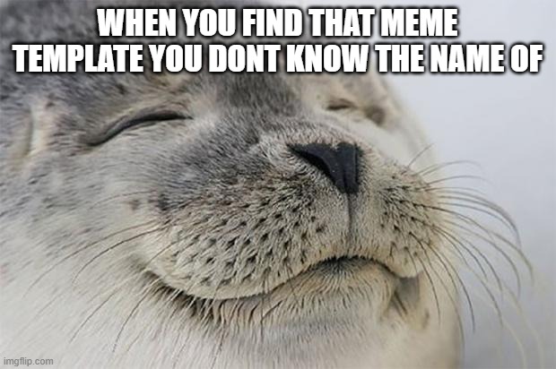 Satisfied Seal Meme | WHEN YOU FIND THAT MEME TEMPLATE YOU DONT KNOW THE NAME OF | image tagged in memes,satisfied seal | made w/ Imgflip meme maker
