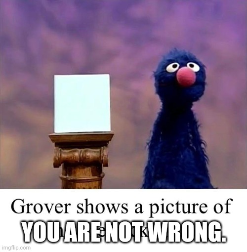 Grover: Who Asked | YOU ARE NOT WRONG. | image tagged in grover who asked | made w/ Imgflip meme maker