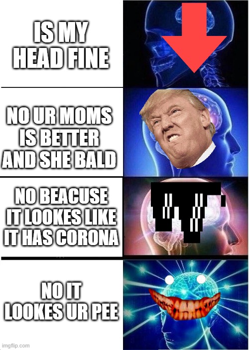 Expanding Brain Meme | IS MY HEAD FINE; NO UR MOMS IS BETTER AND SHE BALD; NO BEACUSE IT LOOKES LIKE IT HAS CORONA; NO IT LOOKES UR PEE | image tagged in memes,expanding brain | made w/ Imgflip meme maker