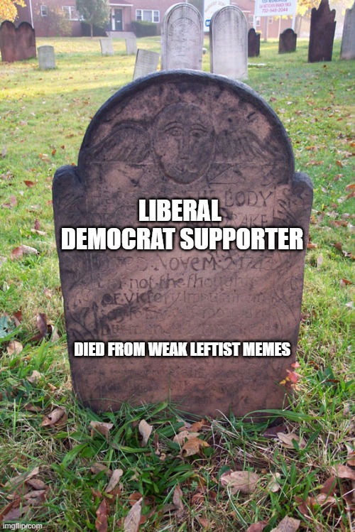 another one bites the dust | LIBERAL  DEMOCRAT SUPPORTER; DIED FROM WEAK LEFTIST MEMES | image tagged in maga,weak,funny memes,memes,2020,died | made w/ Imgflip meme maker