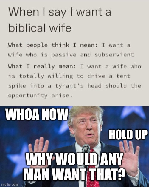 If you can’t handle my Judges 4-5, you don’t get my Proverbs 31 | WHOA NOW; HOLD UP; WHY WOULD ANY MAN WANT THAT? | image tagged in whoa trump | made w/ Imgflip meme maker