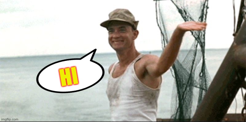 Forest Gump waving | HI | image tagged in forest gump waving | made w/ Imgflip meme maker