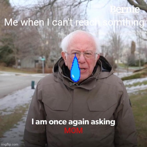 Bernie I Am Once Again Asking For Your Support Meme | Me when I can't reach somthing; MOM | image tagged in memes,bernie i am once again asking for your support | made w/ Imgflip meme maker