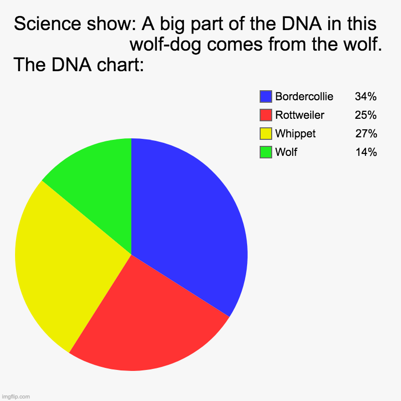 fun with dna | Science show: A big part of the DNA in this                        wolf-dog comes from the wolf. The DNA chart:                              | image tagged in charts,pie charts | made w/ Imgflip chart maker
