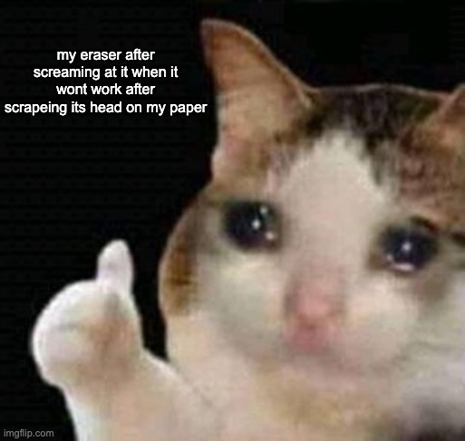 :( |  my eraser after screaming at it when it wont work after scrapeing its head on my paper | image tagged in sad thumbs up cat | made w/ Imgflip meme maker