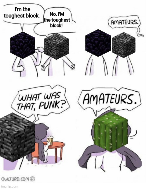unbreakable block vs prickly boy | I'm the toughest block. No, I'M the toughest block! | image tagged in amateurs,minecraft | made w/ Imgflip meme maker