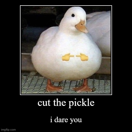 ok buddy | image tagged in funny,demotivationals,duck | made w/ Imgflip demotivational maker