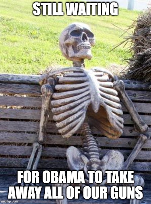 Waiting Skeleton | STILL WAITING; FOR OBAMA TO TAKE AWAY ALL OF OUR GUNS | image tagged in memes,waiting skeleton | made w/ Imgflip meme maker