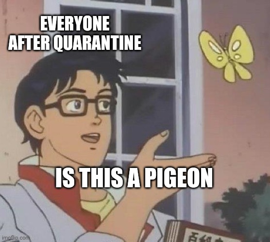 Is This A Pigeon Meme | EVERYONE AFTER QUARANTINE; IS THIS A PIGEON | image tagged in memes,is this a pigeon | made w/ Imgflip meme maker