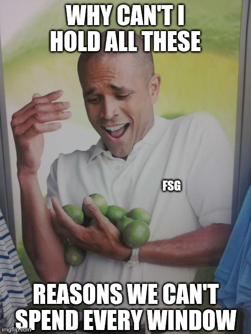 Why Can't I Hold All These Limes Meme | WHY CAN'T I HOLD ALL THESE; FSG; REASONS WE CAN'T SPEND EVERY WINDOW | image tagged in memes,why can't i hold all these limes | made w/ Imgflip meme maker