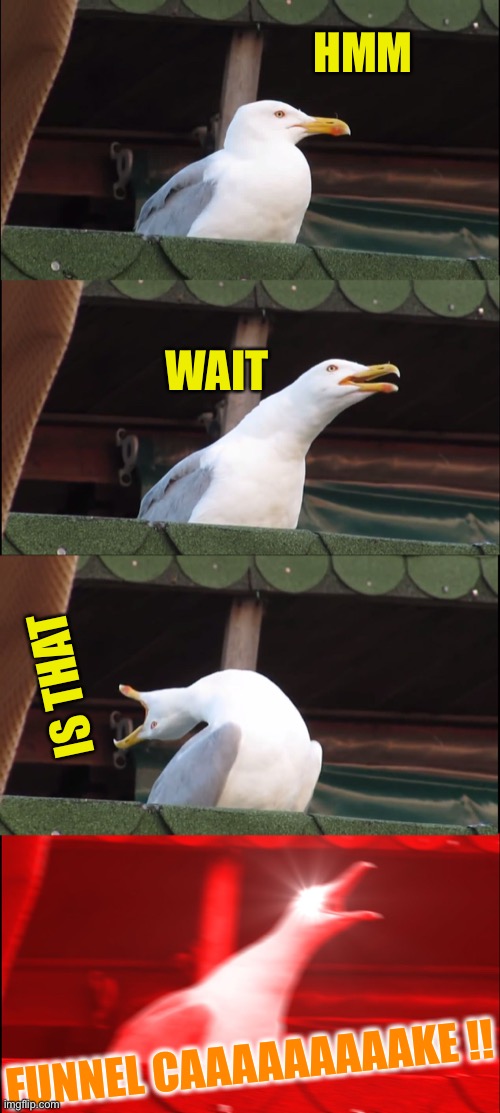 Inhaling Seagull Meme | HMM WAIT IS THAT FUNNEL CAAAAAAAAAKE !! | image tagged in memes,inhaling seagull | made w/ Imgflip meme maker