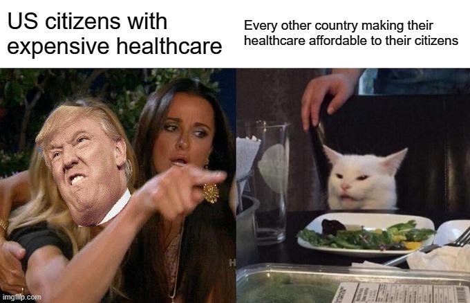 So true! Why is this a thing? | US citizens with expensive healthcare; Every other country making their healthcare affordable to their citizens | image tagged in memes,woman yelling at cat | made w/ Imgflip meme maker