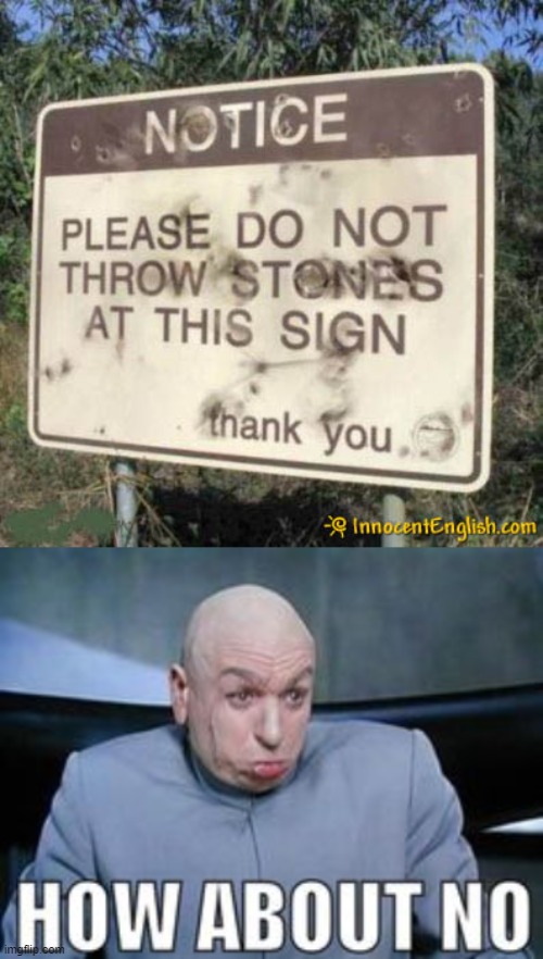 No | image tagged in dr evil how about no | made w/ Imgflip meme maker