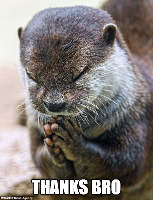 Thank you Lord Otter | THANKS BRO | image tagged in thank you lord otter | made w/ Imgflip meme maker