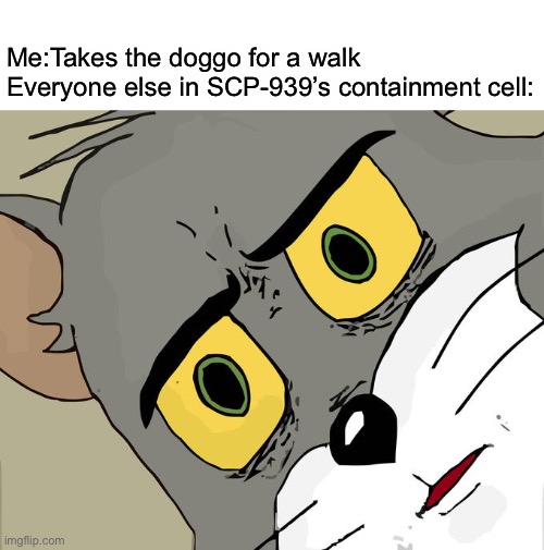 Unsettled Tom Meme | Me:Takes the doggo for a walk
Everyone else in SCP-939’s containment cell: | image tagged in memes,unsettled tom | made w/ Imgflip meme maker