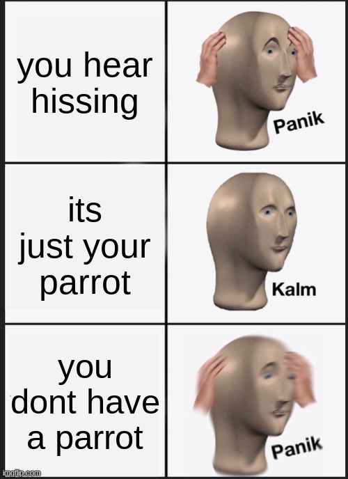 panik | you hear hissing; its just your parrot; you dont have a parrot | image tagged in memes,panik kalm panik | made w/ Imgflip meme maker