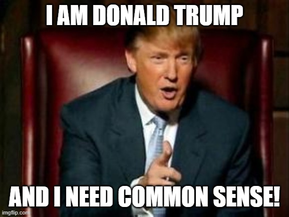 Donald Trump | I AM DONALD TRUMP AND I NEED COMMON SENSE! | image tagged in donald trump | made w/ Imgflip meme maker