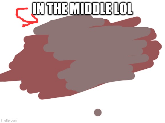 Blank White Template | IN THE MIDDLE LOL | image tagged in blank white template | made w/ Imgflip meme maker