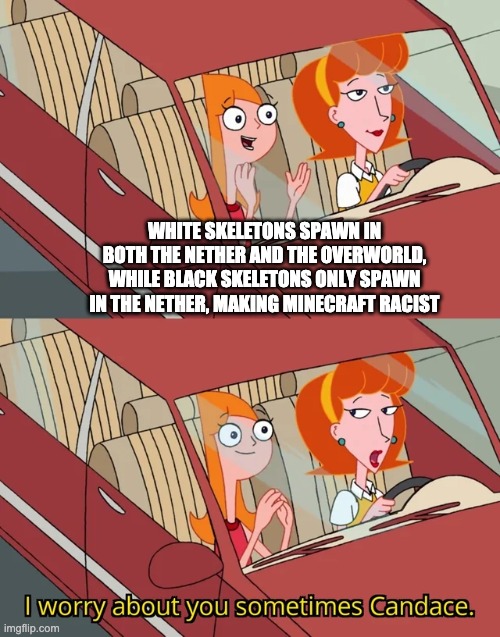 Minecraft |  WHITE SKELETONS SPAWN IN BOTH THE NETHER AND THE OVERWORLD, WHILE BLACK SKELETONS ONLY SPAWN IN THE NETHER, MAKING MINECRAFT RACIST | image tagged in i worry about you sometimes candace | made w/ Imgflip meme maker