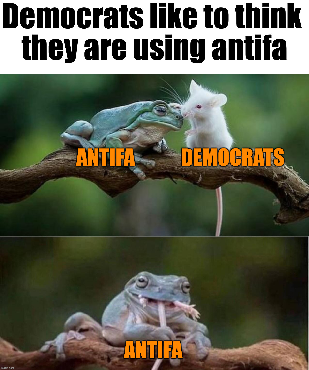 Democrats are being eaten by Socialist groups like antifa, BLM, ELF, ALF and others. | Democrats like to think 
they are using antifa; ANTIFA            DEMOCRATS; ANTIFA | image tagged in socialism,antifa,blm,elf,alf | made w/ Imgflip meme maker