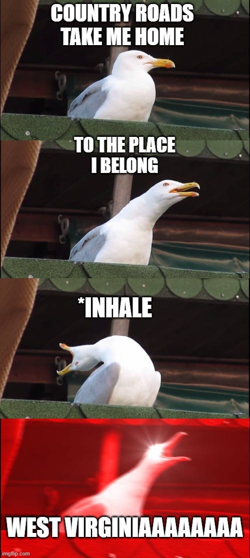 Inhaling Seagull Meme | COUNTRY ROADS 
TAKE ME HOME; TO THE PLACE
I BELONG; *INHALE; WEST VIRGINIAAAAAAAA | image tagged in memes,inhaling seagull | made w/ Imgflip meme maker