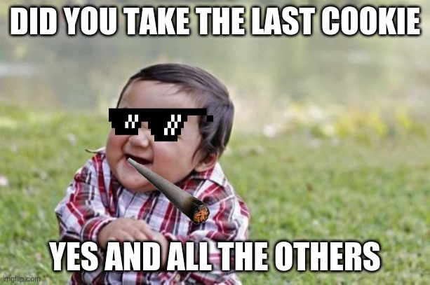 Evil Toddler Meme | DID YOU TAKE THE LAST COOKIE; YES AND ALL THE OTHERS | image tagged in memes,evil toddler | made w/ Imgflip meme maker