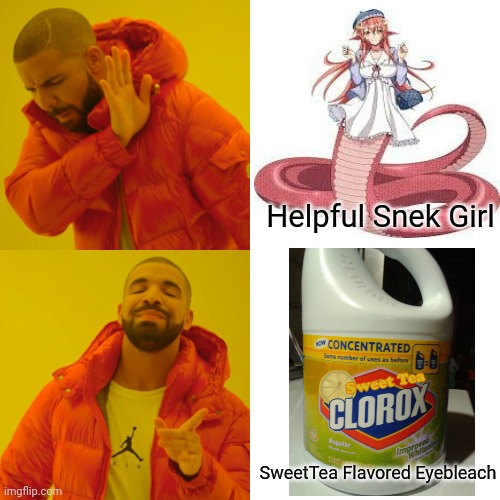 Which would u choose? | Helpful Snek Girl; SweetTea Flavored Eyebleach | image tagged in memes,drake hotline bling,snek,bleach | made w/ Imgflip meme maker