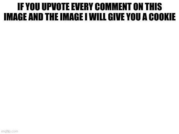 Blank White Template | IF YOU UPVOTE EVERY COMMENT ON THIS IMAGE AND THE IMAGE I WILL GIVE YOU A COOKIE | image tagged in blank white template | made w/ Imgflip meme maker