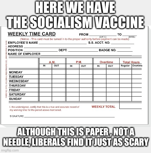 Politics and stuff | HERE WE HAVE THE SOCIALISM VACCINE; ALTHOUGH THIS IS PAPER , NOT A NEEDLE, LIBERALS FIND IT JUST AS SCARY | image tagged in funny memes | made w/ Imgflip meme maker