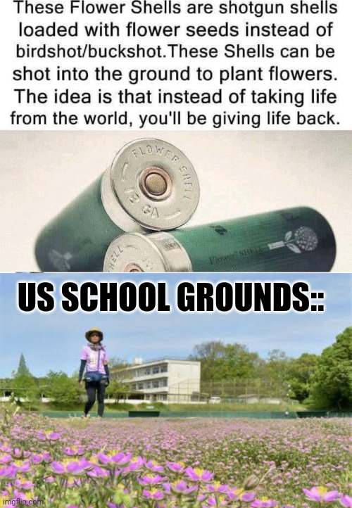 Funny | US SCHOOL GROUNDS:: | image tagged in americans | made w/ Imgflip meme maker
