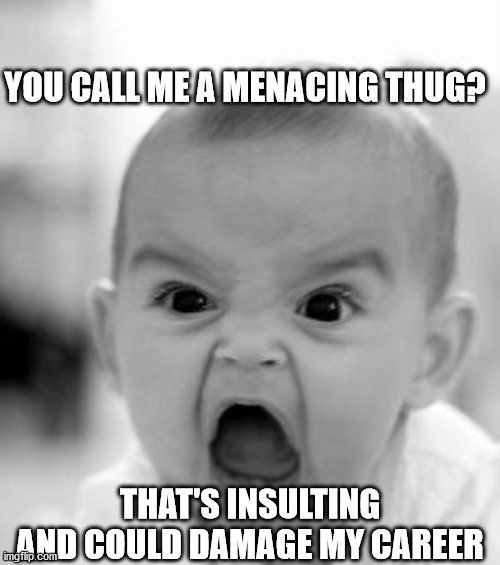 Angry Baby Meme | YOU CALL ME A MENACING THUG? THAT'S INSULTING AND COULD DAMAGE MY CAREER | image tagged in memes,angry baby | made w/ Imgflip meme maker