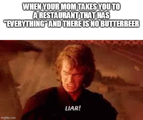 Anakin Liar | WHEN YOUR MOM TAKES YOU TO A RESTAURANT THAT HAS "EVERYTHING" AND THERE IS NO BUTTERBEER | image tagged in anakin liar | made w/ Imgflip meme maker