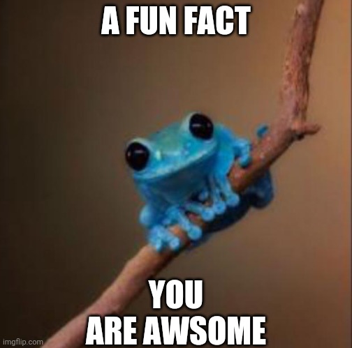 Small fact frog | YOU ARE AWSOME; A FUN FACT | image tagged in frogs | made w/ Imgflip meme maker