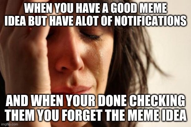 :( | WHEN YOU HAVE A GOOD MEME IDEA BUT HAVE ALOT OF NOTIFICATIONS; AND WHEN YOUR DONE CHECKING THEM YOU FORGET THE MEME IDEA | image tagged in memes,first world problems | made w/ Imgflip meme maker
