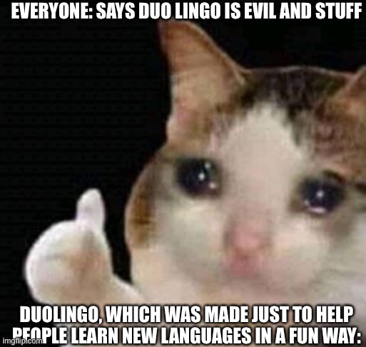 sad thumbs up cat | EVERYONE: SAYS DUO LINGO IS EVIL AND STUFF; DUOLINGO, WHICH WAS MADE JUST TO HELP PEOPLE LEARN NEW LANGUAGES IN A FUN WAY: | image tagged in sad thumbs up cat | made w/ Imgflip meme maker
