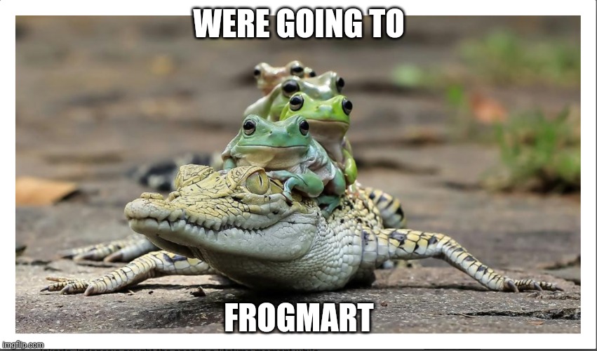 cute lil frogs on a crocodile | WERE GOING TO; FROGMART | image tagged in crocodile,frogs | made w/ Imgflip meme maker